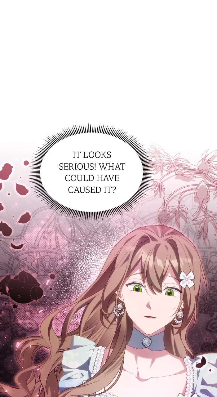 Read When the Archduke