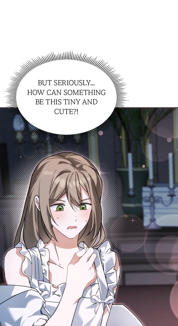 Read When the Archduke