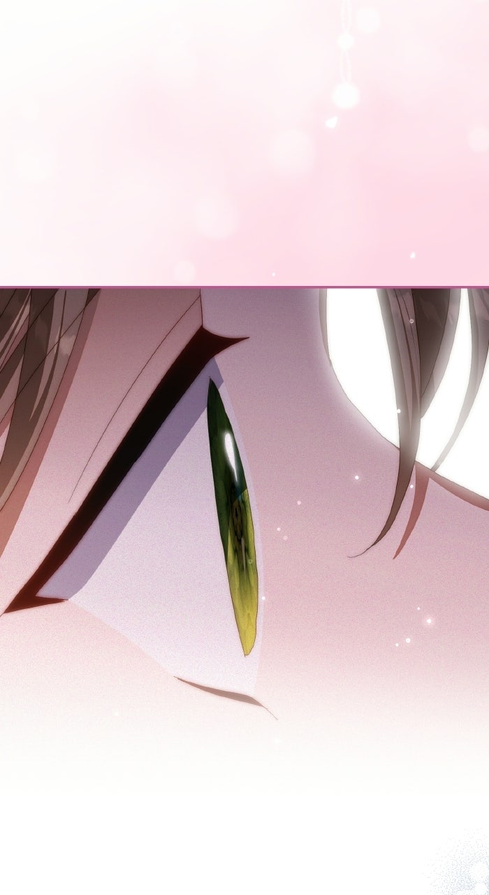 Read When the Archduke