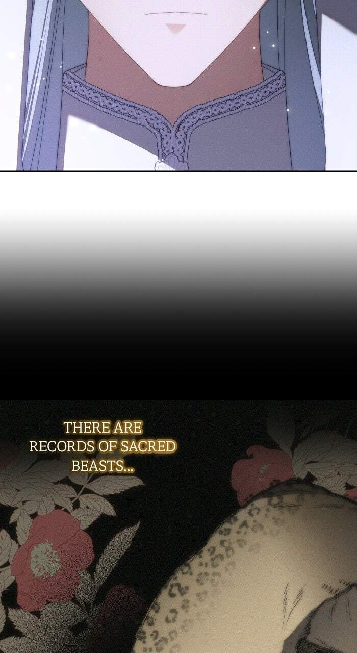 Read When the Archduke