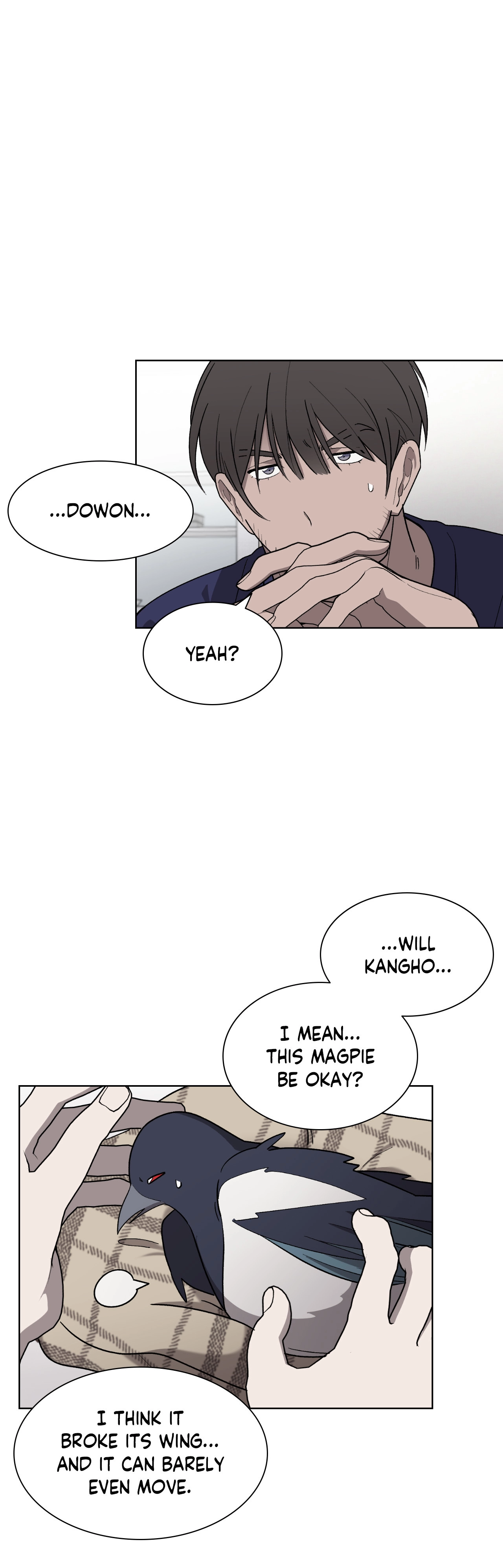 Read When the Magpie Comes chapter 13 image 4 on Lezhin