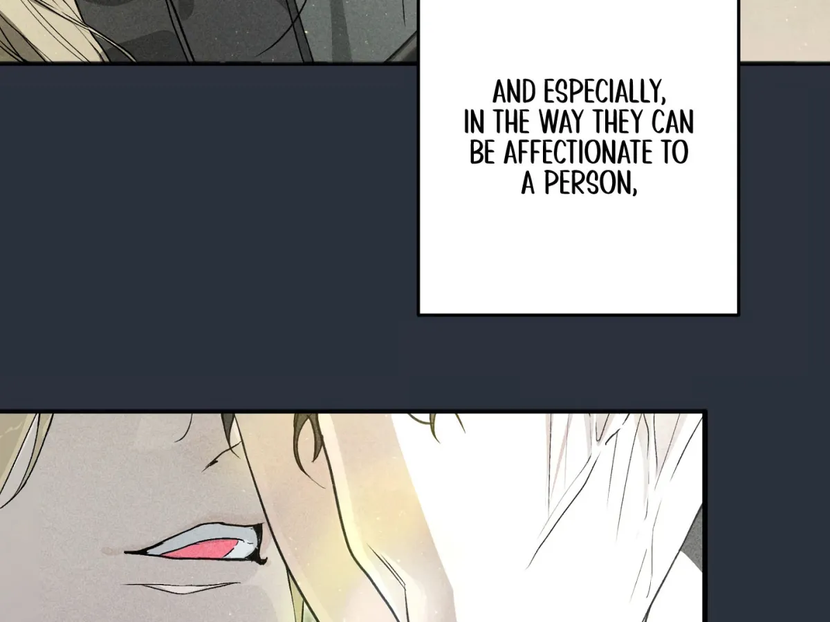 Read When the Stars Align chapter 1 image 84 on Lezhin