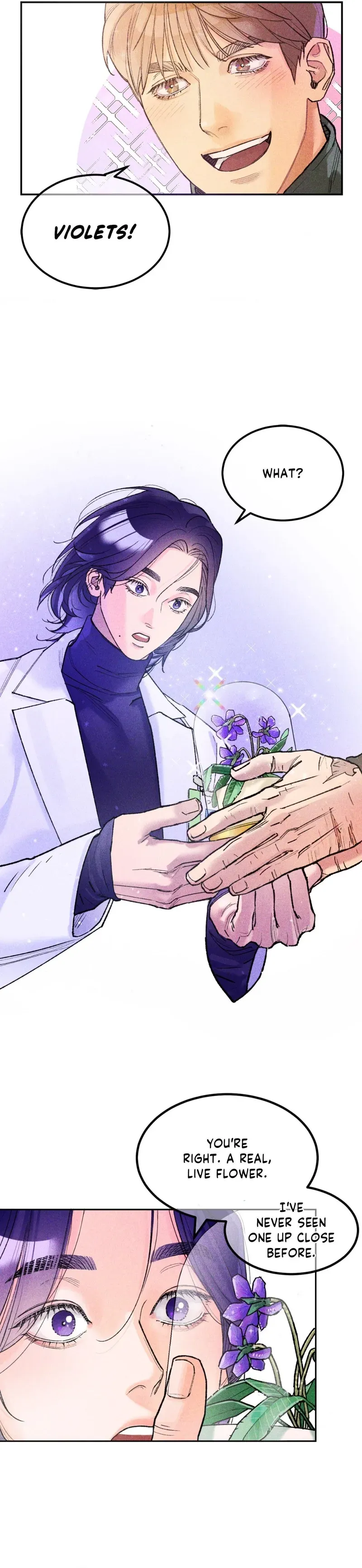 When the Violets Bloom Chapter 1 page 15 - 