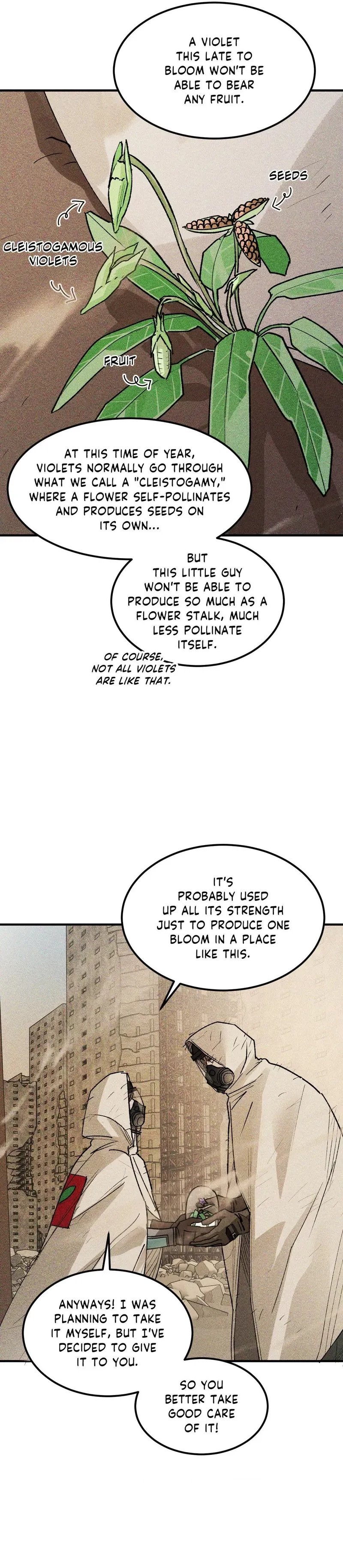 When the Violets Bloom Chapter 16 page 11 - 