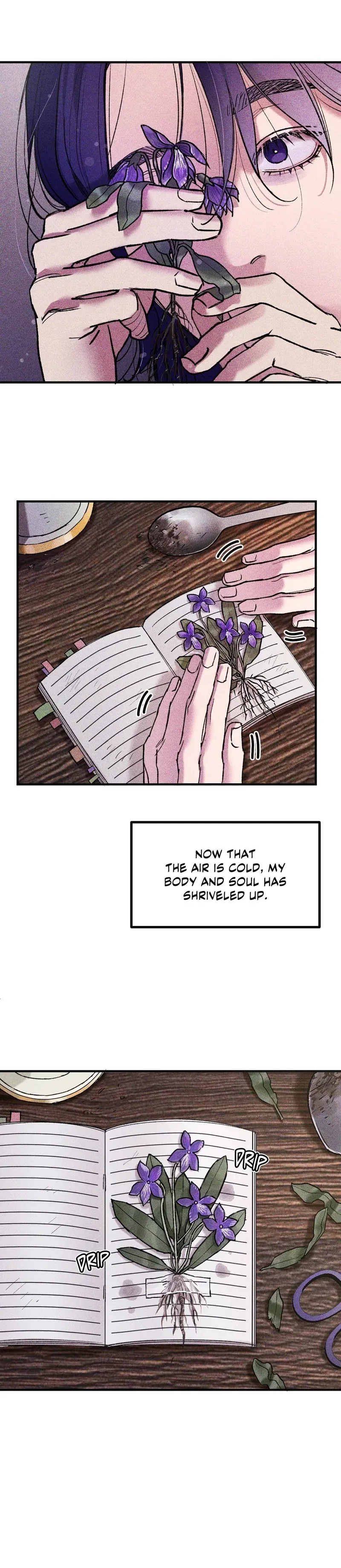 When the Violets Bloom Chapter 3 page 14 - 