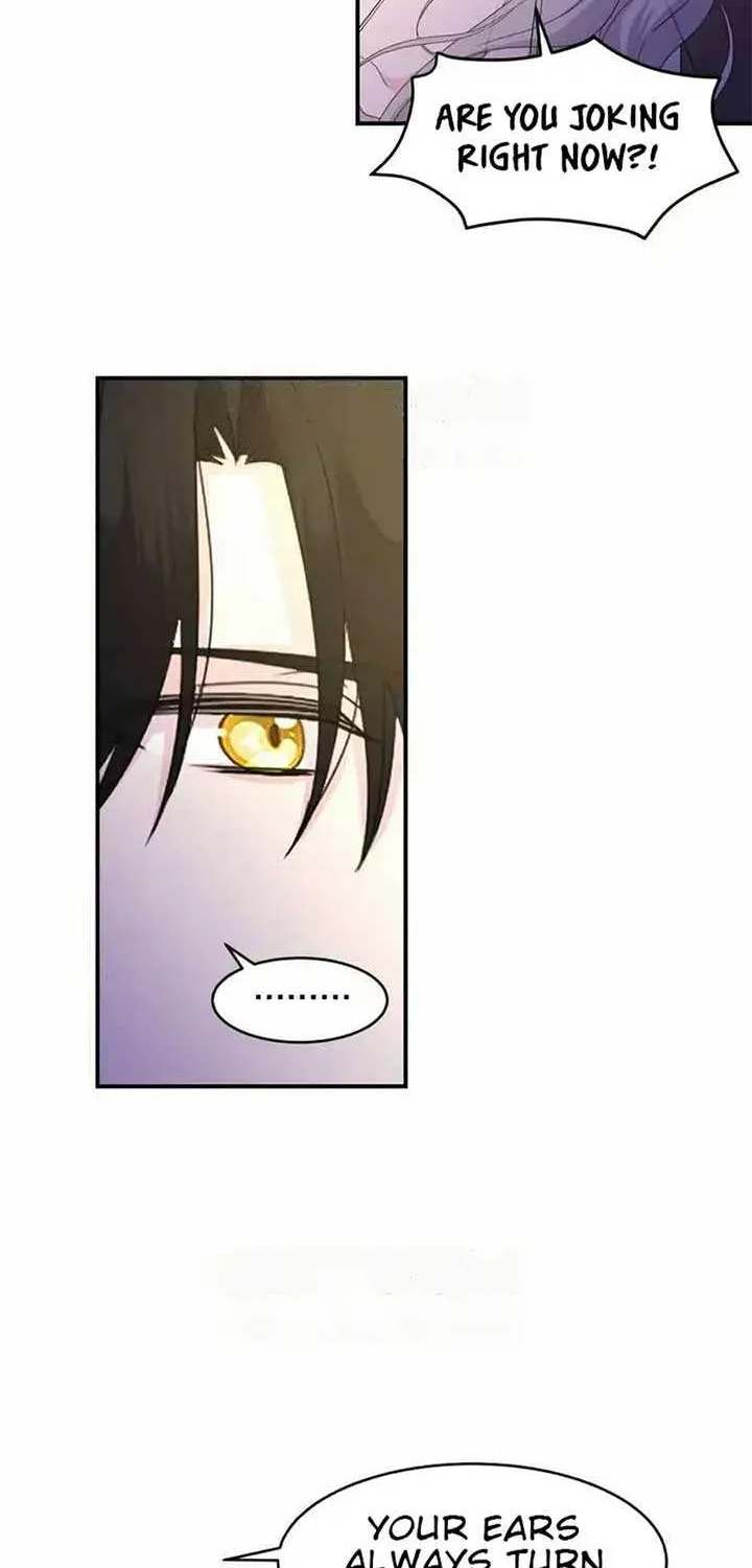 Read Which Wizard Will Kill Me chapter 34 image 10 on Lezhin