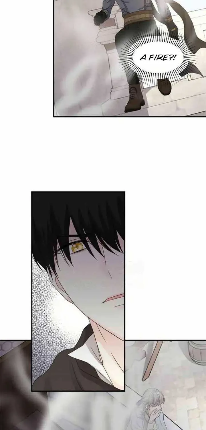 Read Which Wizard Will Kill Me chapter 36 image 19 on Lezhin