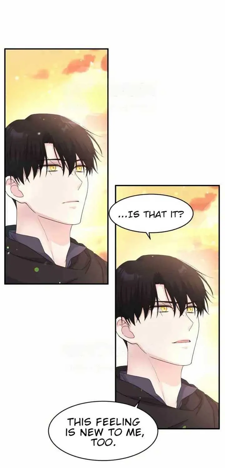 Read Which Wizard Will Kill Me chapter 37 image 5 on Lezhin