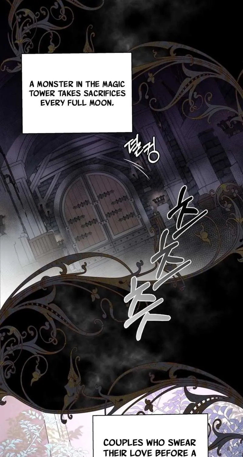 Read Which Wizard Will Kill Me chapter 4 image 4 on Lezhin