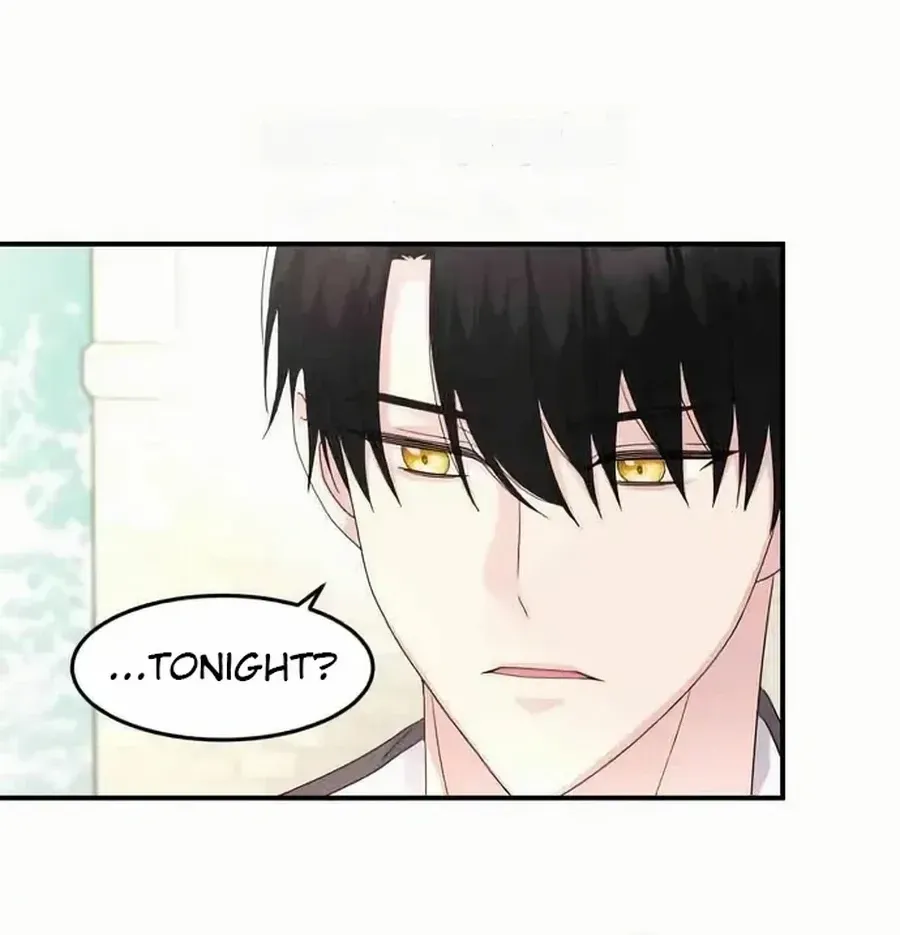 Read Which Wizard Will Kill Me chapter 42 image 21 on Lezhin