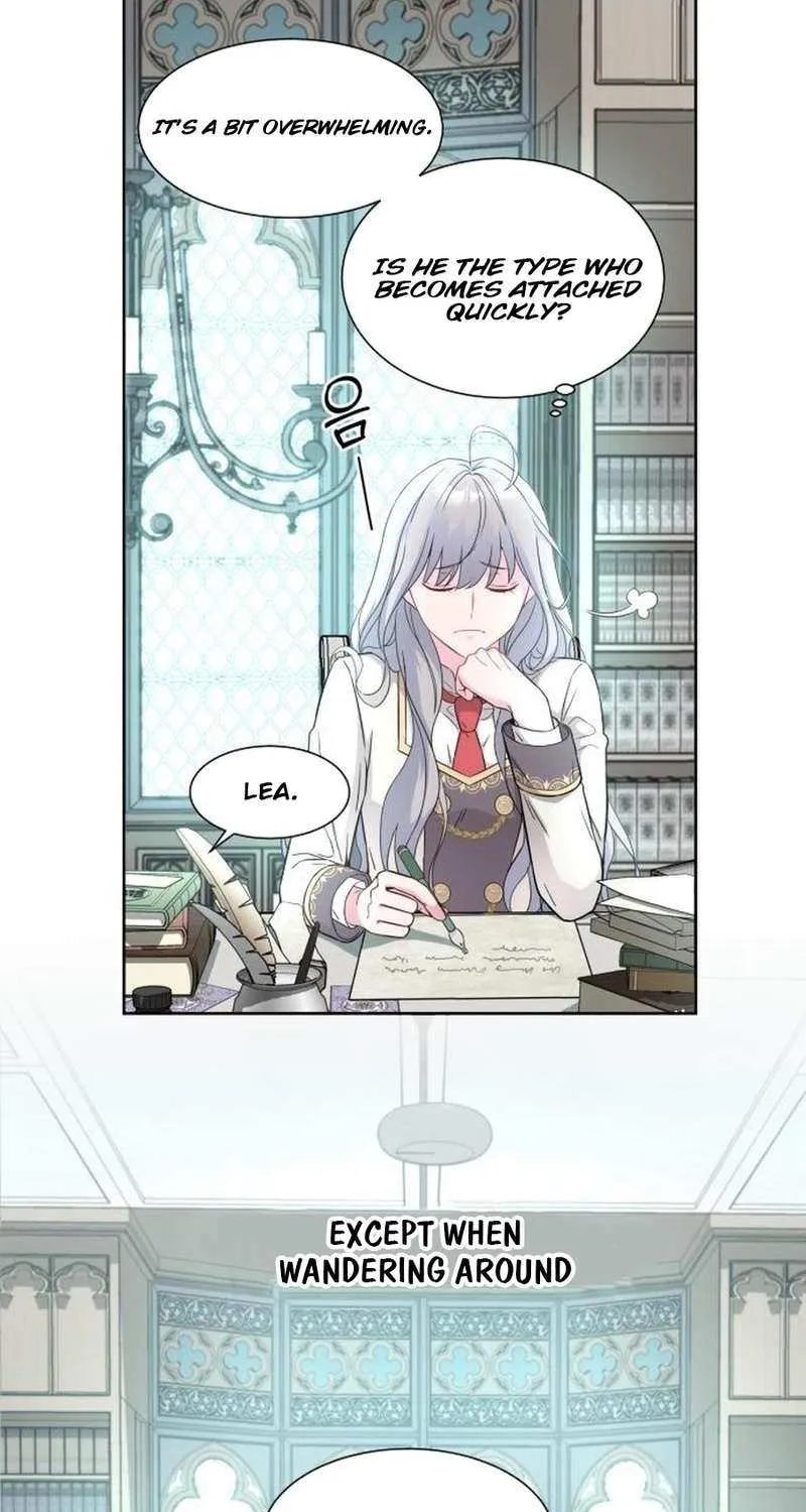 Read Which Wizard Will Kill Me chapter 5 image 26 on Lezhin