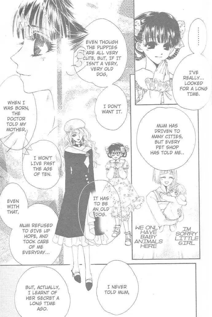 Read White Garden chapter 0 image 25 on Lezhin