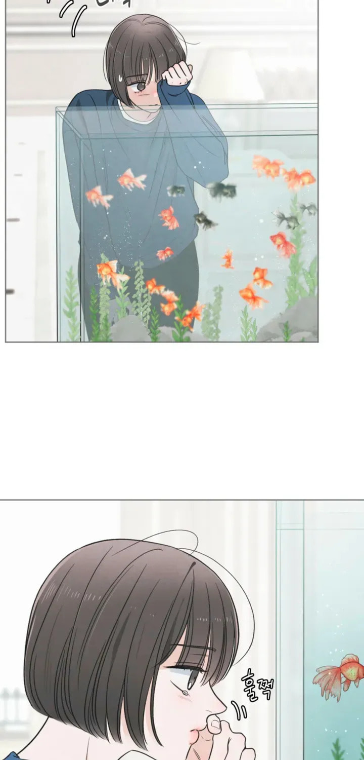 Who Is the Liar? Chapter 59 page 31 - 