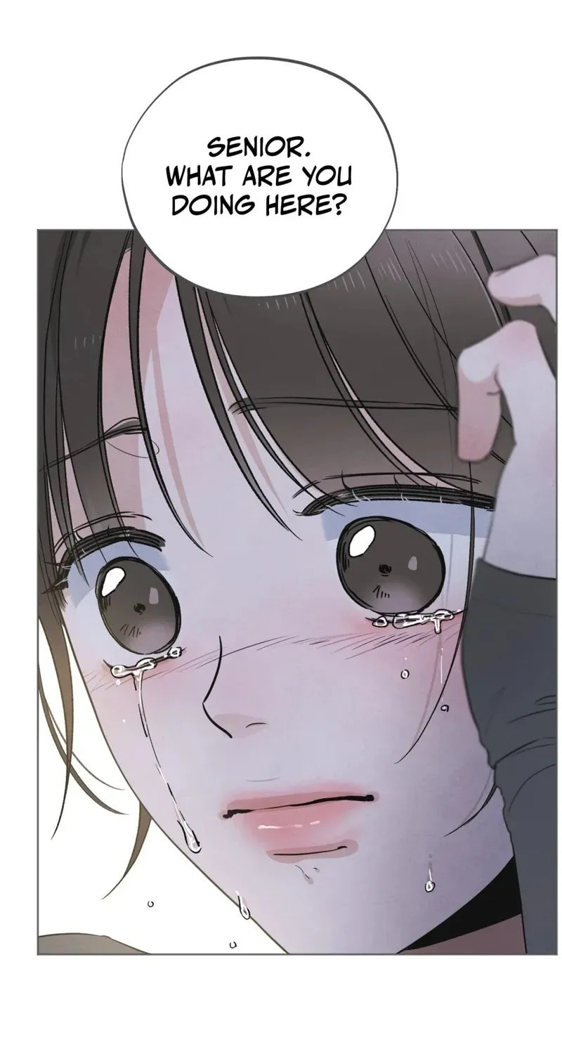 Who Is the Liar? Chapter 61 page 42 - 