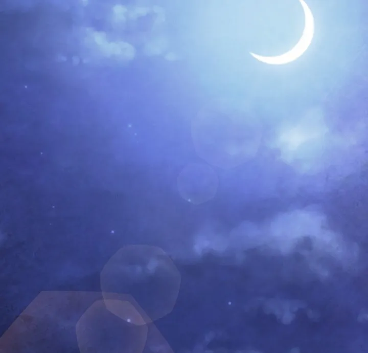 Who Killed the Murim Lord? Chapter 12 page 57 - 