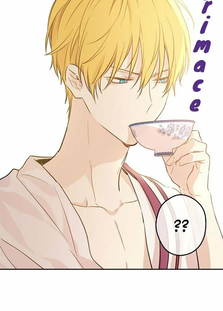 Who Made Me a Princess Chapter 16 page 47 - 