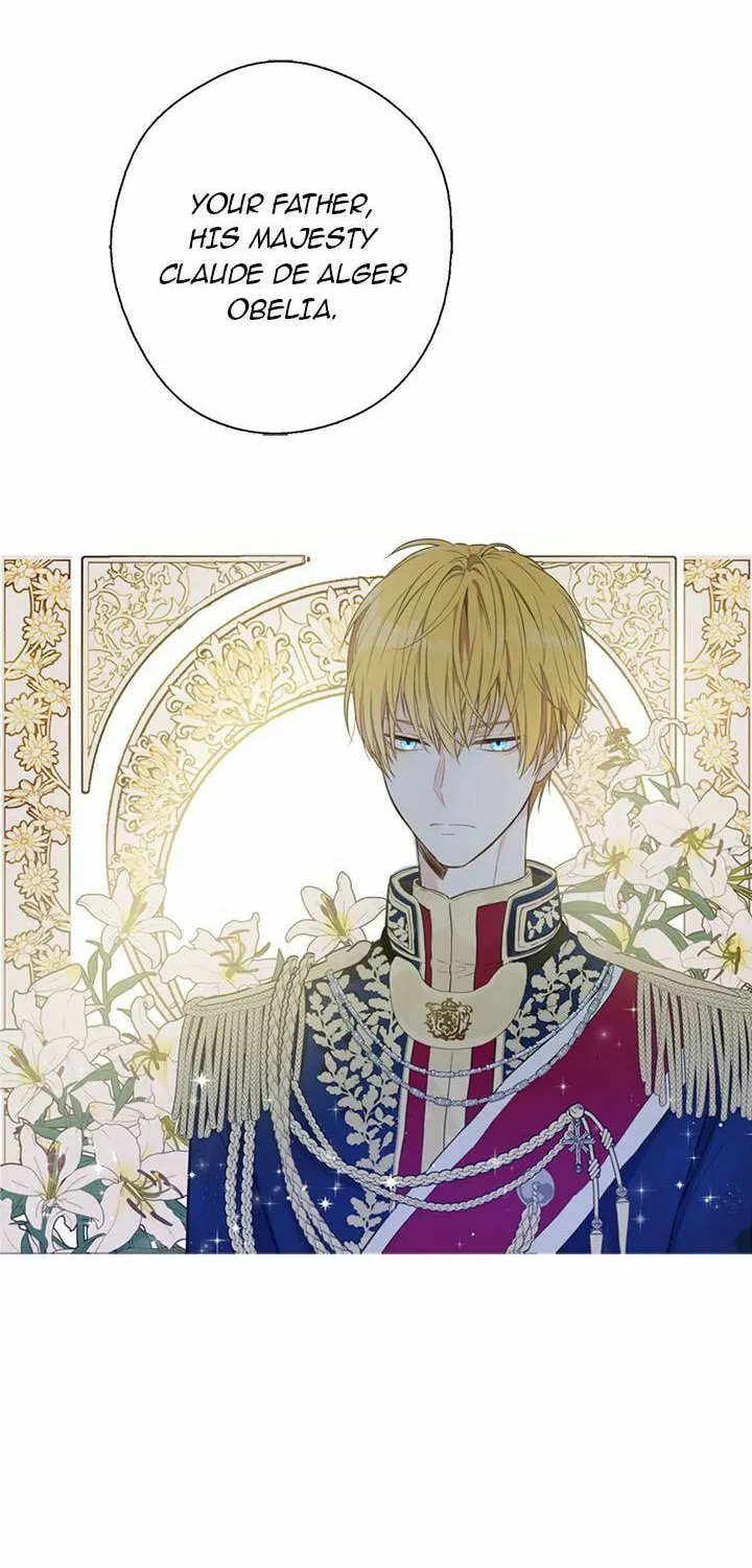 Who Made Me a Princess Chapter 2 page 46 - 