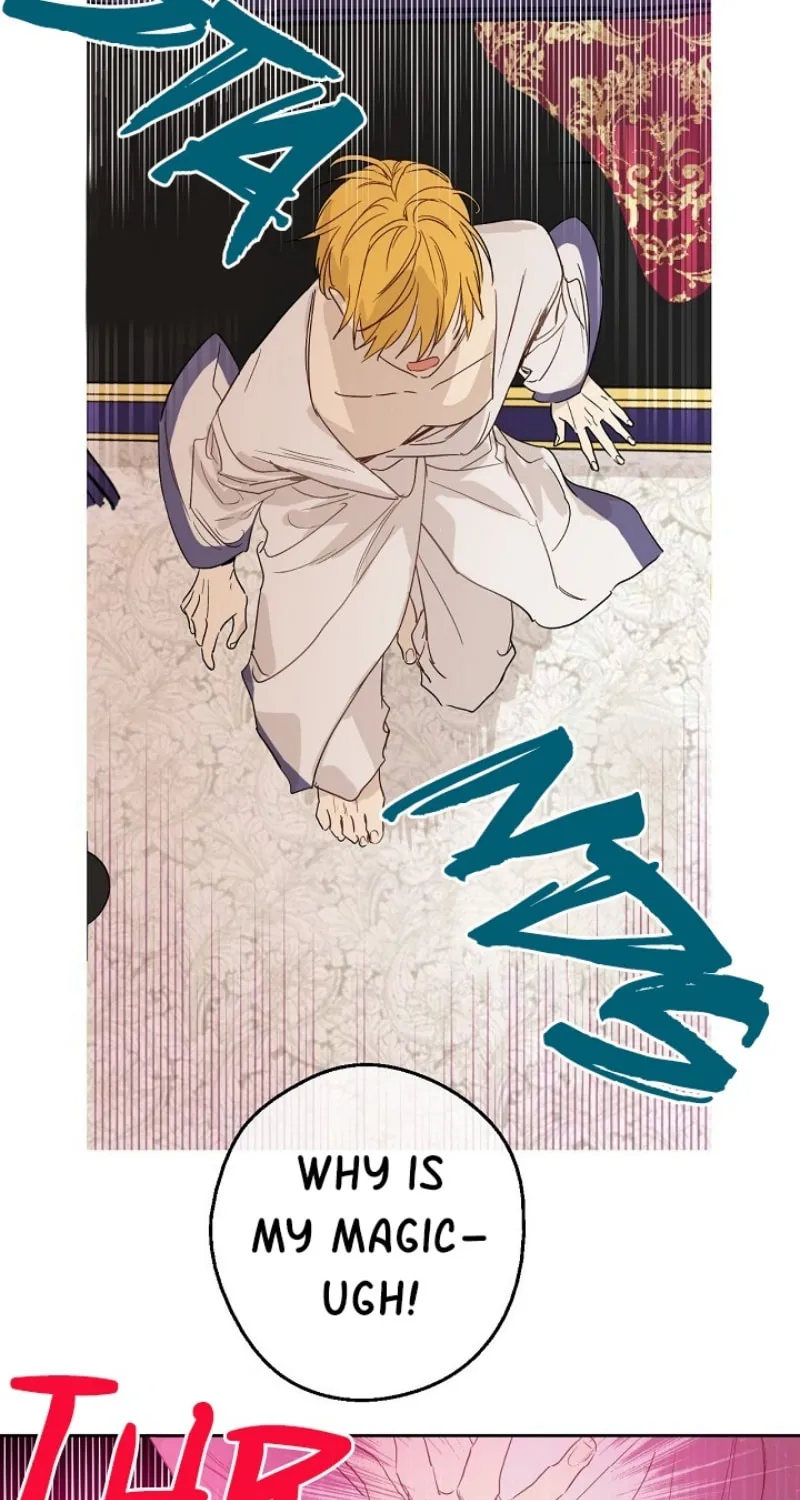 Who Made Me a Princess Chapter 47 page 33 - 