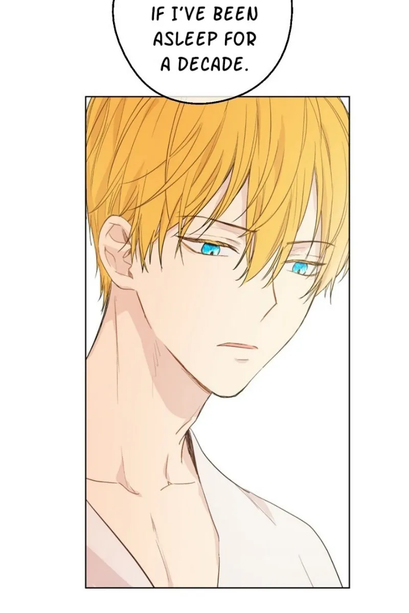 Who Made Me a Princess Chapter 47 page 10 - 