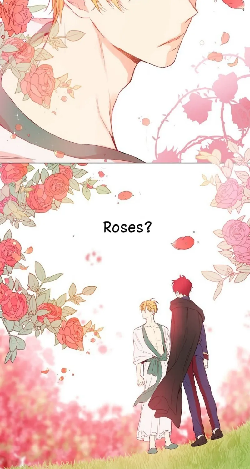 Who Made Me a Princess Chapter 48 page 49 - 