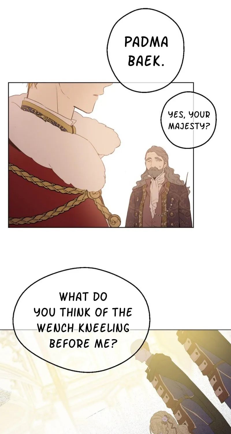 Who Made Me a Princess Chapter 51 page 17 - 