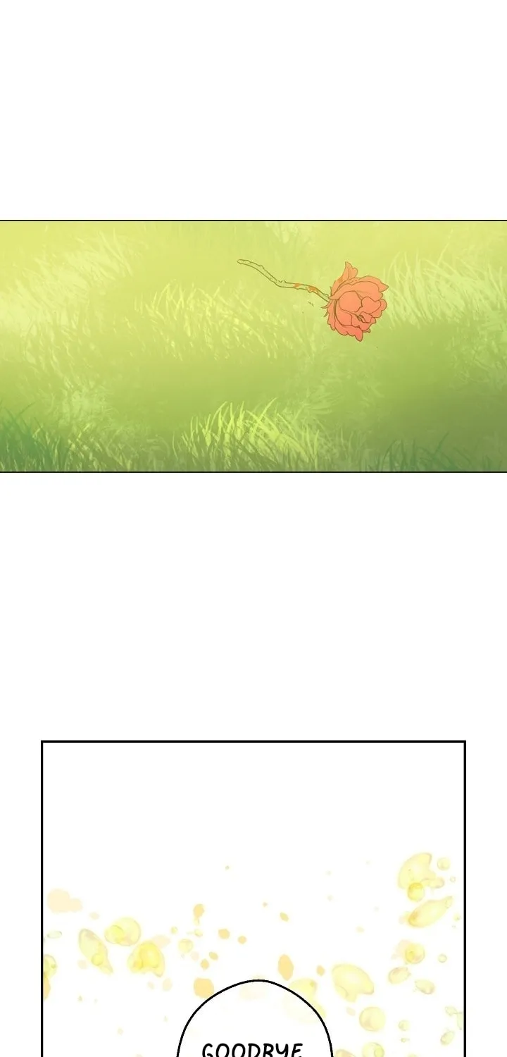 Who Made Me a Princess Chapter 54 page 31 - 