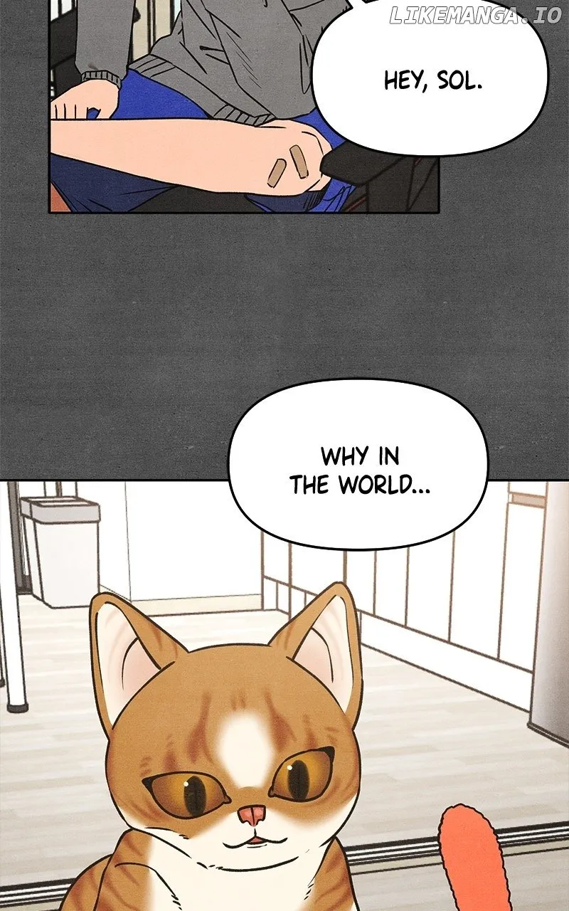 Who's That Long-Haired Senior? RSS Feed Chapter 21 page 2 - 