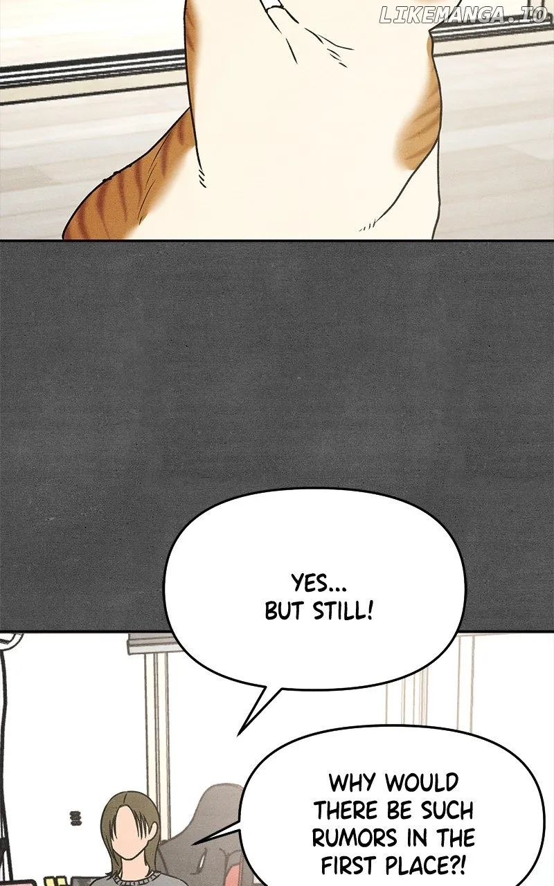 Who's That Long-Haired Senior? RSS Feed Chapter 21 page 13 - 