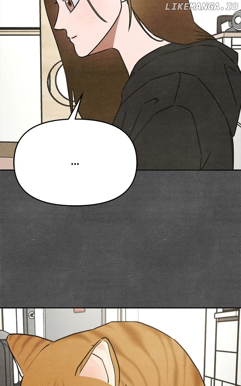 Who's That Long-Haired Senior? RSS Feed Chapter 21 page 19 - 