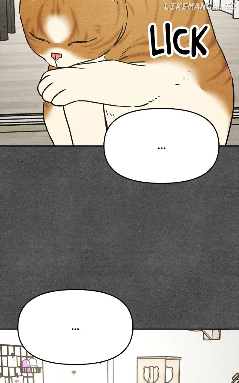 Who's That Long-Haired Senior? RSS Feed Chapter 21 page 20 - 