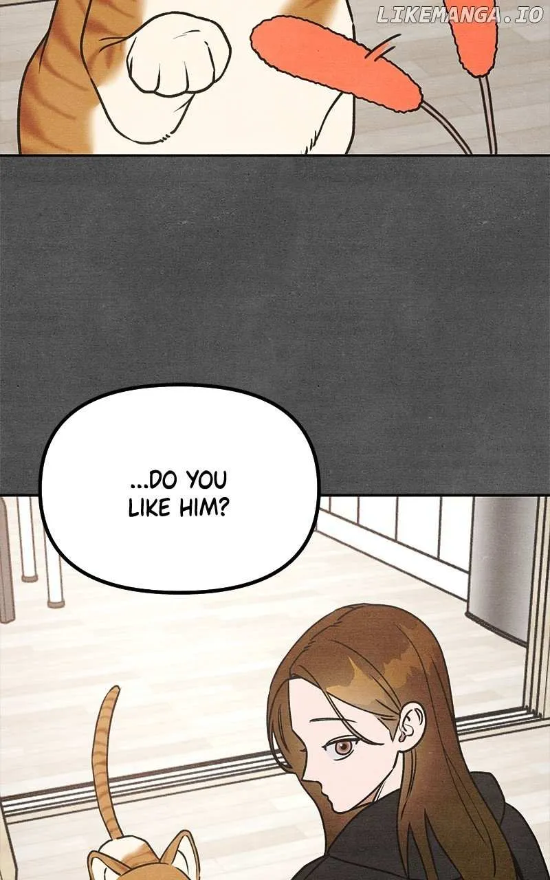 Who's That Long-Haired Senior? RSS Feed Chapter 21 page 3 - 