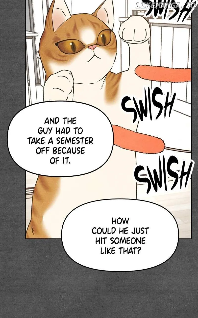 Who's That Long-Haired Senior? RSS Feed Chapter 21 page 8 - 