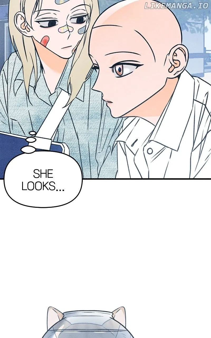 Who's That Long-Haired Senior? RSS Feed Chapter 43 page 6 - 