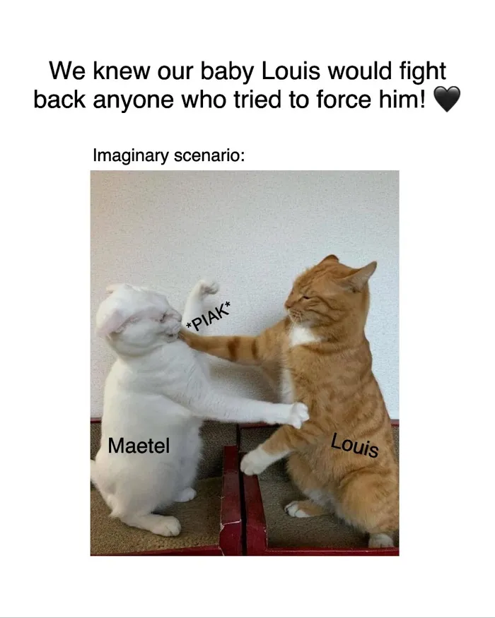 Read Who