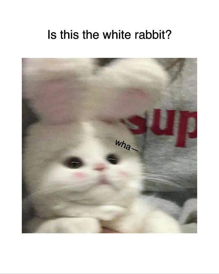Read Who