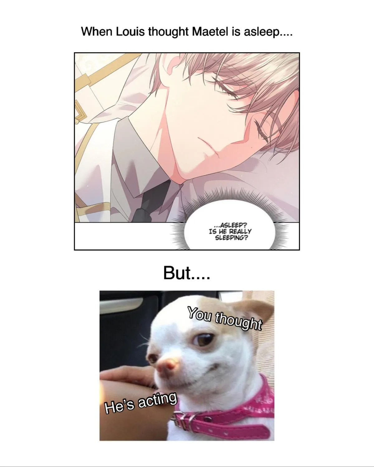 Read Who