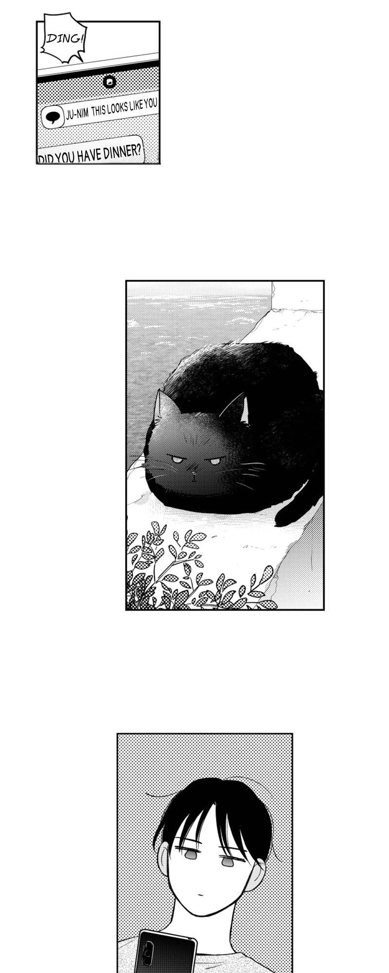 Who’s a Sweet Cheater? Chapter 102 page 23 - 