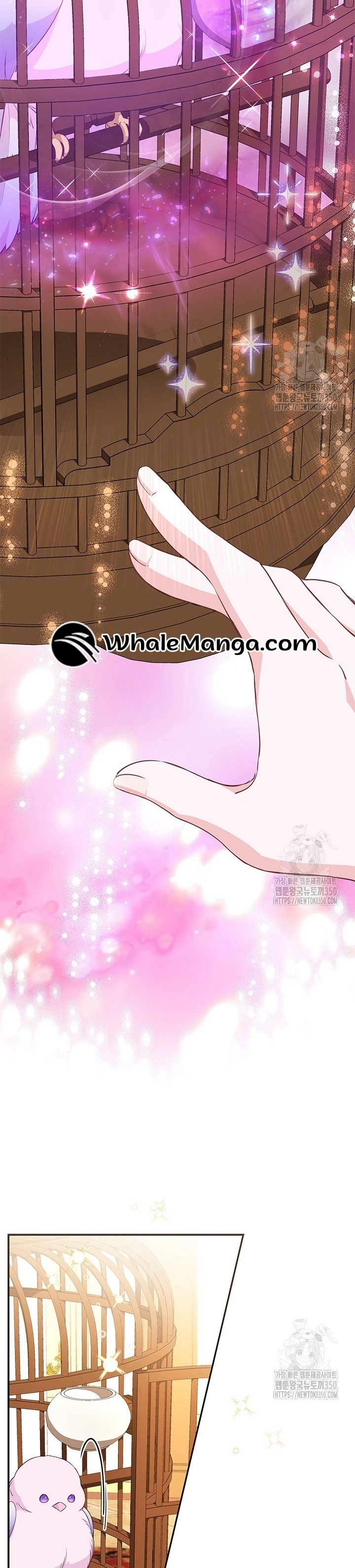 Why Are You Obsessed With Me Even Though I Reject Your Affection? (Promo) Chapter 24 page 17 - 