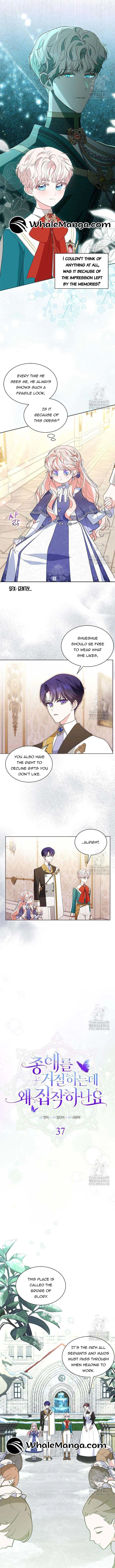 Why Are You Obsessed With Me Even Though I Reject Your Affection? (Promo) Chapter 37 page 6 - 