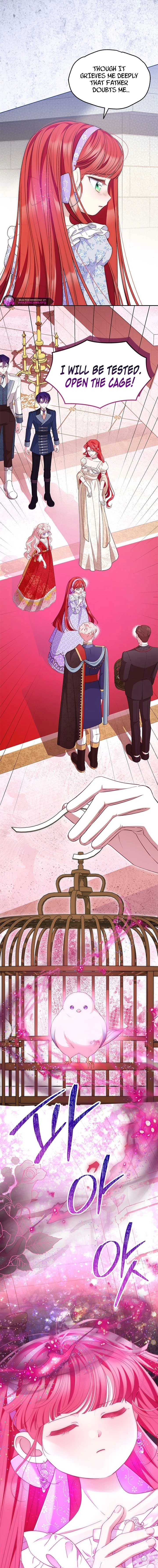 Why Are You Obsessed With Me Even Though I Reject Your Affection? (Promo) Chapter 62 page 5 - 