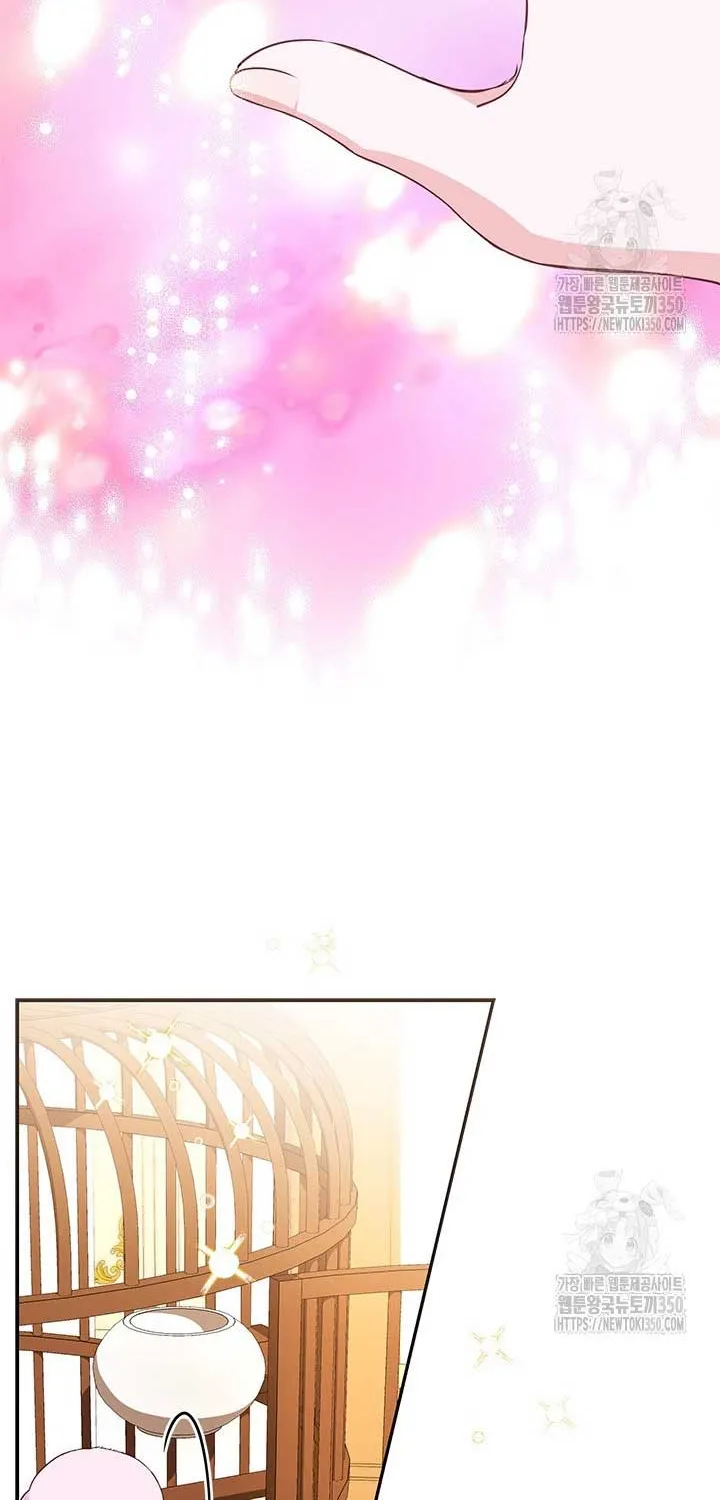 Read Why Do You Love Me When I Refuse Your Request? chapter 24 image 44 on Lezhin