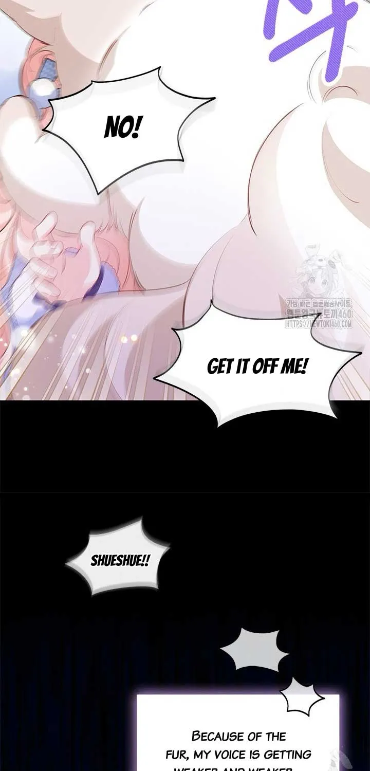 Read Why Do You Love Me When I Refuse Your Request? chapter 27 image 16 on Lezhin