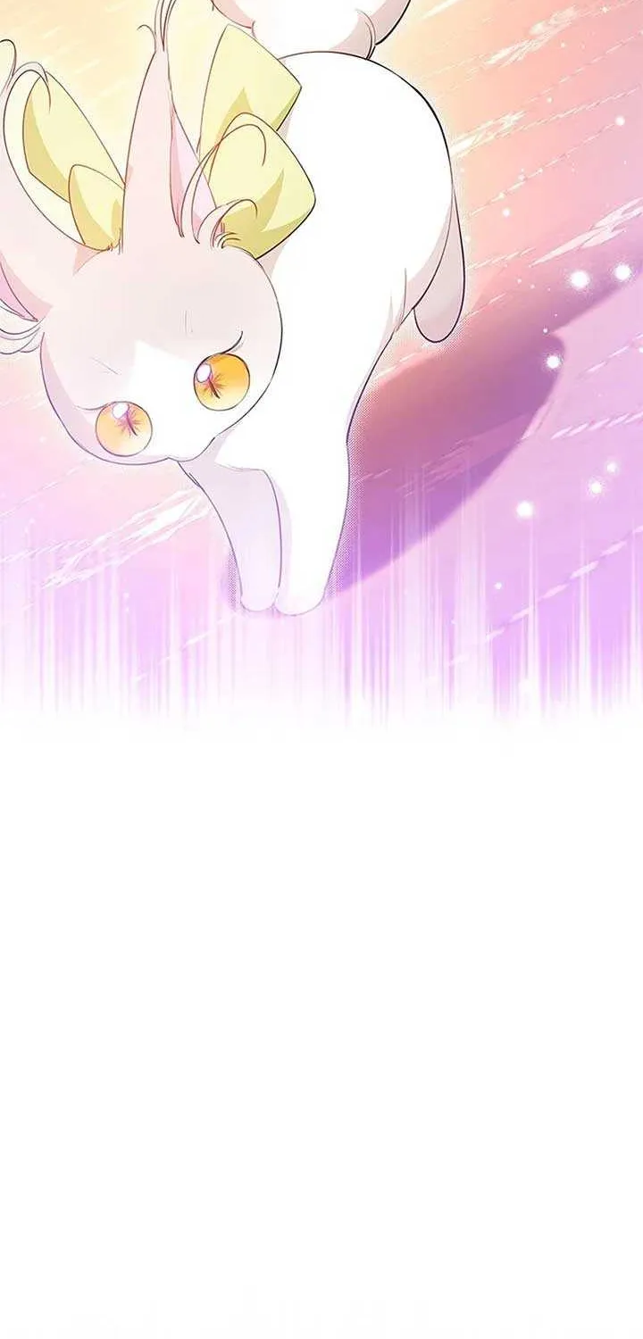 Read Why Do You Love Me When I Refuse Your Request? chapter 49 image 11 on Lezhin