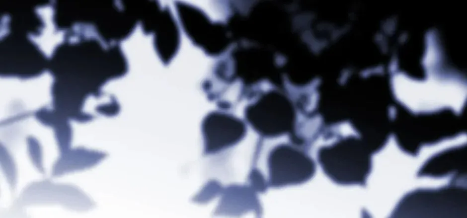 Read Wicked No More chapter 60 image 121 on Lezhin