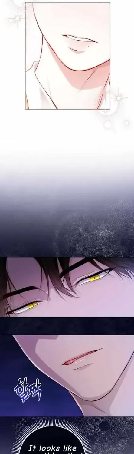 Read Wild Beast Warning chapter 1.1 image 18 on Lezhin
