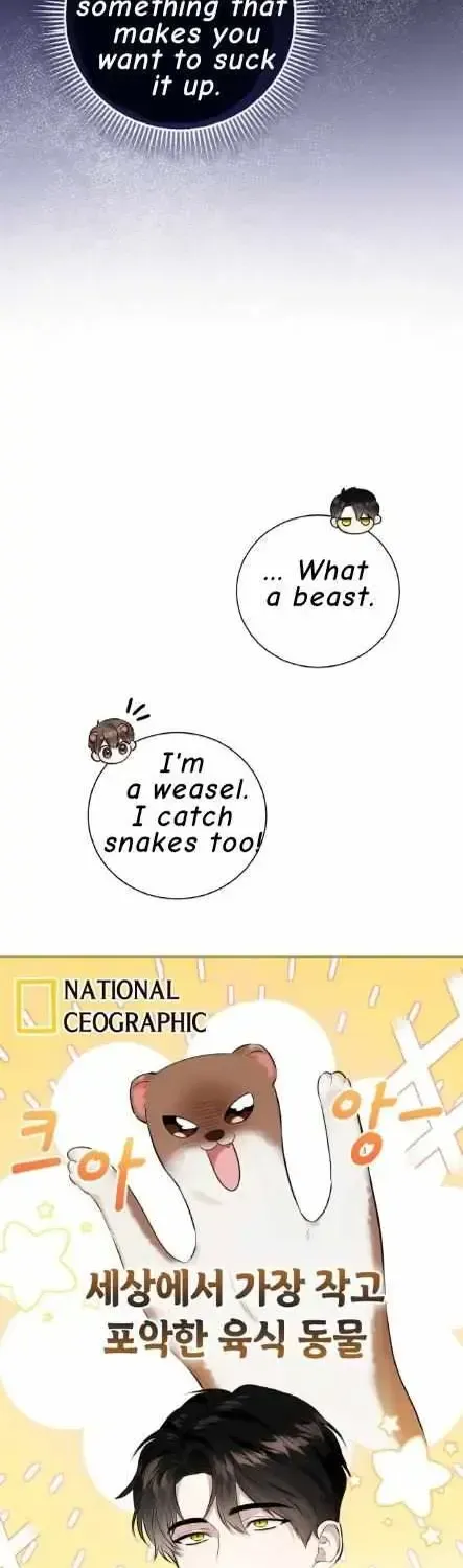 Read Wild Beast Warning chapter 1.1 image 19 on Lezhin