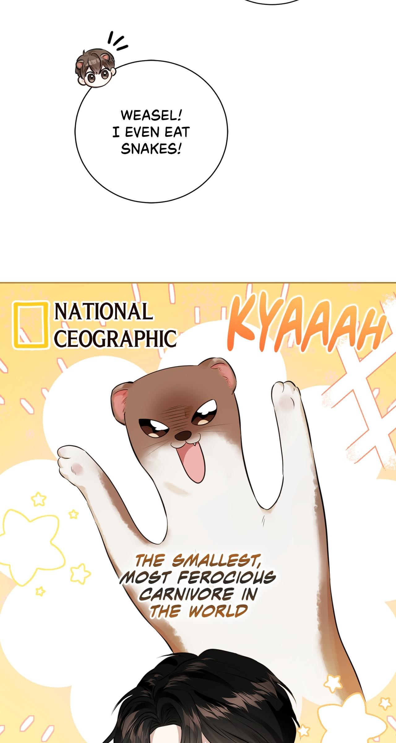 Read Wild Beast Warning chapter 1.3 image 52 on Lezhin