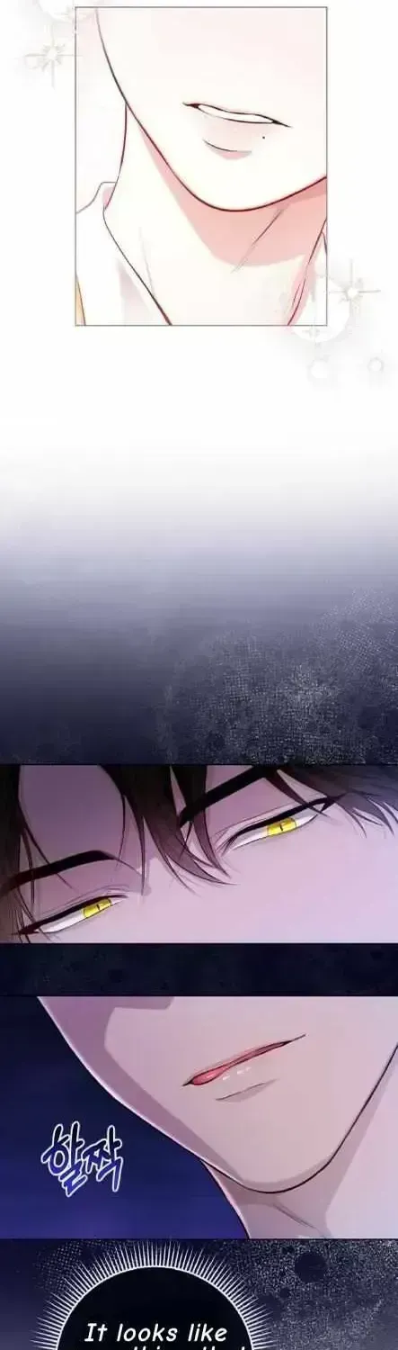 Read Wild Beast Warning chapter 1.4 image 18 on Lezhin