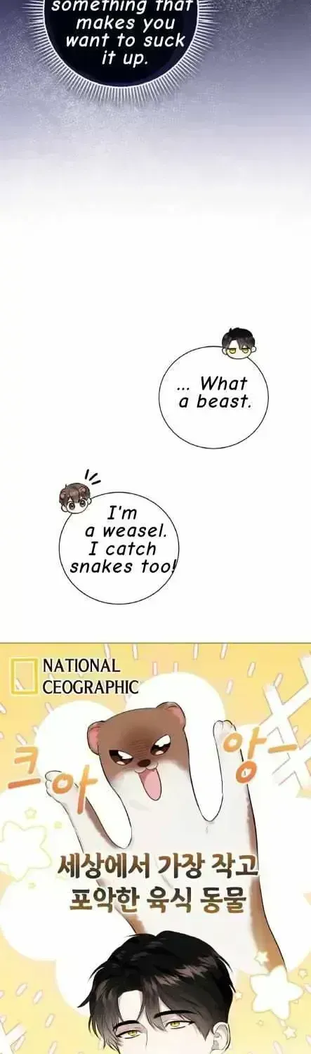 Read Wild Beast Warning chapter 1.6 image 19 on Lezhin