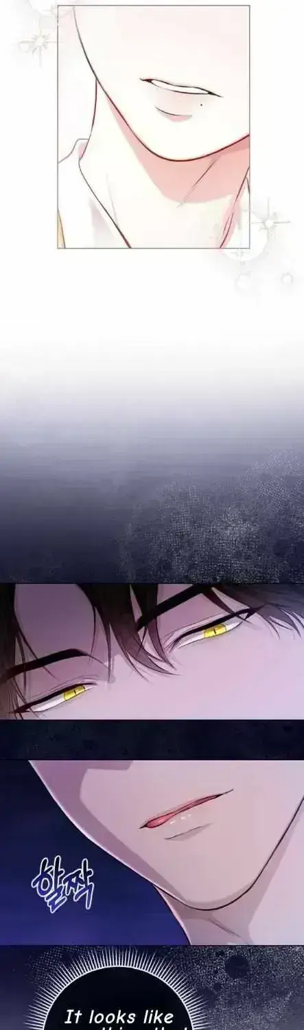 Read Wild Beast Warning chapter 1.7 image 18 on Lezhin